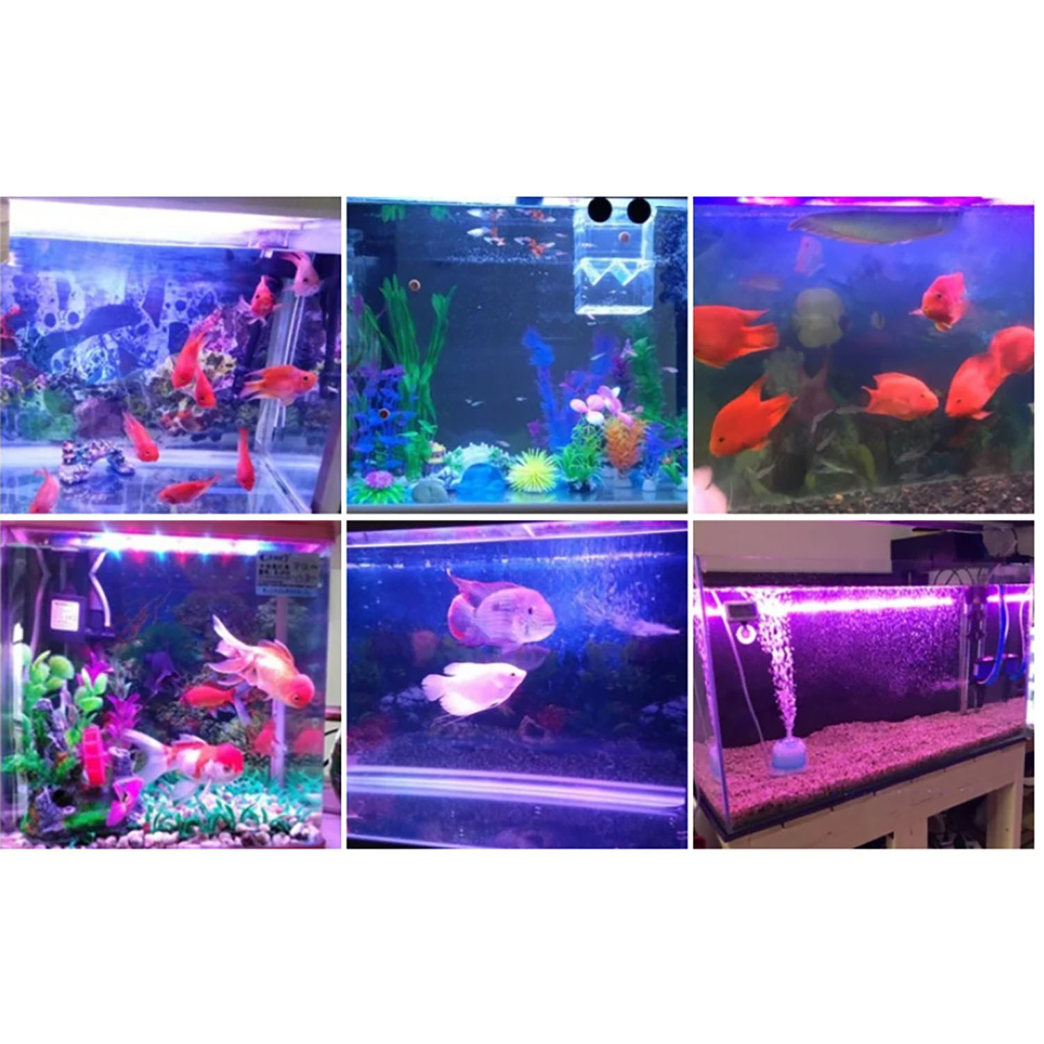 Iluminación LED para Acuarios  - Marine Aquarium Uv Light reseña y precio
