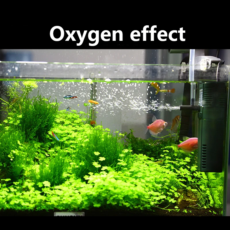 SUNSUN-bomba sumergible de oxí - Aquarium Blue Marine Reef 60 reseña y precio